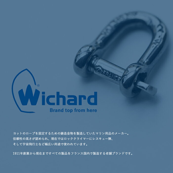 ウィチャード ストレート シャックル カラビナwichard straight shackle slv 3110