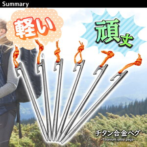 【エントリーでP5倍&割引クーポン有】M-STYLE ペグ チタン 24cm 軽量 強靭 テント タープ 設営 チタン合金製 12本セット通販格安セール情報 楽天 通販
