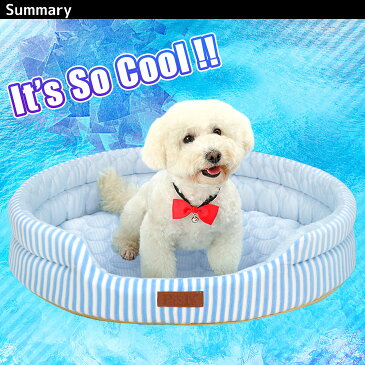 【訳あり】 ひんやり ペット ベッド マット 夏用 犬 猫 冷感 パイル ストライプクール XLサイズ