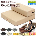 【ペット保育園&ホテル監修】 ドッグステップ 幅広 55cm 犬 階段 ペット 犬用 ステップ 2段 通気性 おしゃれ 送料無料 メッシュ生地 選べる 硬めタイ...
