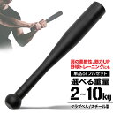 クラブベル 2kg 4kg 6kg 8kg 10kg ダンベル トレーニング 体幹 アイアン バット ジムハンマー メイスハンマー ウエイト パワー 野球 ゴルフ テニス ボクシング ボディビル 筋トレ 全身運動 スポーツ 選べる重量 セット