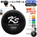 野球 トレーニング ボール ウエイトボール 球速アップ 練習 プアボール サンドボール 重い ボール ソフトボール 1000g 選べるセット