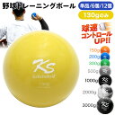 野球 トレーニング ボール ウエイトボール 球速アップ 練習 プアボール サンドボール 重い ボール ソフトボール 130g 選べるセット