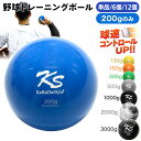 野球 トレーニング ボール ウエイトボール 球速アップ 練習 プアボール サンドボール 重い ボール ソフトボール 200g 選べるセット