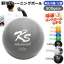 野球 トレーニング ボール ウエイトボール 球速アップ 練習 プアボール サンドボール 重い ボール ソフトボール 500g 選べるセット