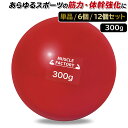 【期間限定!全品ポイント10倍!】 トレーニング ボール 300g 野球 練習用 ボール ウエイトボール ソフトボール バッティング 練習 サンドボール プアボ...