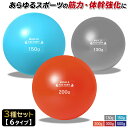 【期間限定!全品ポイント10倍!】 トレーニング ボール 野球 練習用 ボール ウエイトボール ソフトボール バッティング 練習 サンドボール プアボール メデ...