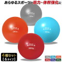 【期間限定!全品ポイント10倍!】 トレーニング ボール 野球 練習用 ボール ウエイトボール ソフトボール バッティング 練習 サンドボール プアボール メデ...