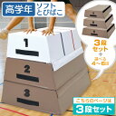 跳び箱 室内 子供 高学年向け ソフト 飛び箱 とび箱 ジョイント式 小学生 指導ライン 高重量 運動 自宅 子ども 室内 家庭用 高さ60cm 3段セット
