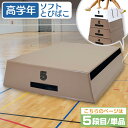 跳び箱 室内 子供 高学年向け ソフト 飛び箱 とび箱 ジョイント式 小学生 指導ライン 高重量 運動 自宅 子ども 室内 家庭用 5段目のみ 単品