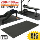 【エントリーでP10倍】 トレーニン