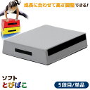 跳び箱 ソフト 飛び箱 とび箱 ジョイント式 とびばこ 子供 幼児 保育園 幼稚園 小学生 運動 自宅 子ども クリスマス 室内 家庭用 (5段目のみ/単品/グ...