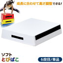跳び箱 ソフト 飛び箱 とび箱 ジョイント式 とびばこ 子供 幼児 保育園 幼稚園 小学生 運動 自宅 子ども 室内 家庭用 (6段目のみ/単品/モカホワイト)