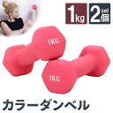 ダンベル 1kg 2個 セット カラー トレーニング 筋トレ 初心者 エクササイズ ダイエット 鉄アレイ PVC コーティング 筋トレグッズ コンパクト おしゃ...