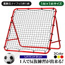 備品 【エントリーでP10倍】 リバウンドネット サッカー 野球 リバウンダー ラダー トレーニング バウンドネット クレイジーキャッチ 壁当て リフティング ネット ピッチングネット 練習道具 室内練習 自宅 (高耐久タイプ/45撚り網)