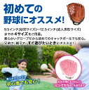 【エントリーでP10倍&割引クーポン有】 グローブ 野球 練習 子供 大人 柔らかグローブ 野球グローブ キャッチボール 少年野球 キッズ 小学生 ジュニア用 成人用 低学年 幼児 ソフトボール 単品 選べる4サイズ 9.5インチ 10.5インチ 11.5インチ 12.5インチ