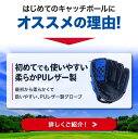 【エントリーでP10倍&割引クーポン有】 グローブ 野球 練習 子供 大人 柔らかグローブ 野球グローブ キャッチボール 少年野球 キッズ 小学生 ジュニア用 成人用 低学年 幼児 ソフトボール 単品 選べる4サイズ 9.5インチ 10.5インチ 11.5インチ 12.5インチ
