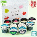 SUN&LIV ジェラートギフトセット(C) 8個入り(8種類各1個) セット内容 りんご もも ラ・フランス ぶどう つや姫 バニラ ラムレーズン 秘伝豆 サ...