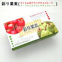 彩り果実 ラフランス さくらんぼ クランチチョコレート 1箱(各10個) 詰め合わせ 山形 お土産 (東北 山形 ご当地 手土産 焼菓子 チョコ菓子 フルーツ 果物 西洋梨 さくらんぼ セット 個包装 半円形 美味しい おすすめ)【A01】(4)