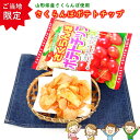 \最短発送/ 山形限定 さくらんぼポテトチップ 1袋(100g) 山形 お土産 (東北 山形 ご当地 手土産 フルーツ 果物 チェリー 桜桃 お菓子 スナック菓...