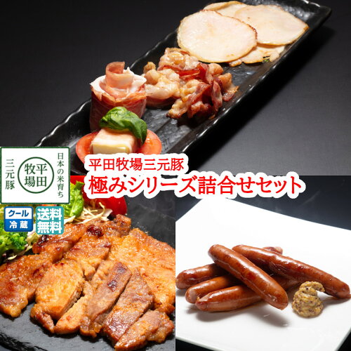 着色料・化学調味料・保存料・発色剤・全て不使用！【夏ギフト】平牧...