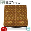 \最短発送/ 平田牧場 平牧三元豚特製カレーギフトセット (常温 VCR18-1) ブランド豚 レトルト コラーゲン入り 送料無料 手土産 残暑御見舞 (東北 山形 お返し 御祝 内祝 美味しい おすすめ レンチン) 【B02】