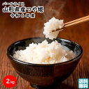 山形県産 つや姫 1袋(2kg) 令和6年産 パールライス 送料無料 (東北 山形 お米 ライス 品種 ブランド米 お土産 贈り物 贈答品 美味しい おすすめ)...