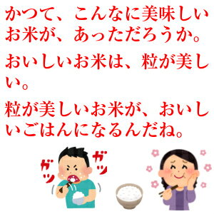 新米 山形県産 雪若丸 5kg 【令和元年度産 送料無料 パールライス 東北 山形 お米 新品種】【RCP】【HLS_DU】