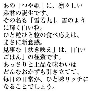 雪若丸