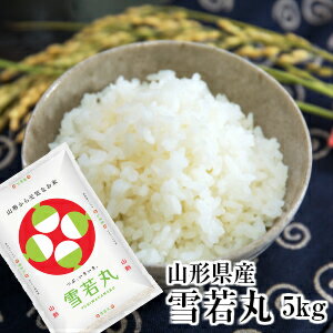 新米 山形県産 雪若丸 5kg 【令和元年度産 送料無料 パールライス 東北 山形 お米 新品種】【RCP】【HLS_DU】