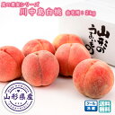 【 先行予約 早割 8月下旬頃発送予定 】 川中島白桃 1箱(2kg) 山形県東根産 真の果実シリーズ 松栗農園 送料無料 (フルーツ王国 ひがしね 産地直送 ...