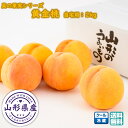 【 先行予約 早割 8月下旬頃発送予定 】 黄金桃 1箱(2kg) 山形県東根産 真の果実シリーズ 松栗農園 送料無料 (フルーツ王国 ひがしね 産地直送 果物...