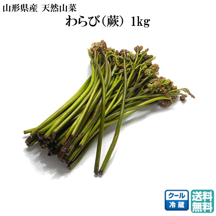 楽天市場】わらび(野菜・きのこ|食品)の通販 楽天市場】わらび(野菜・きのこ|食品)の通販