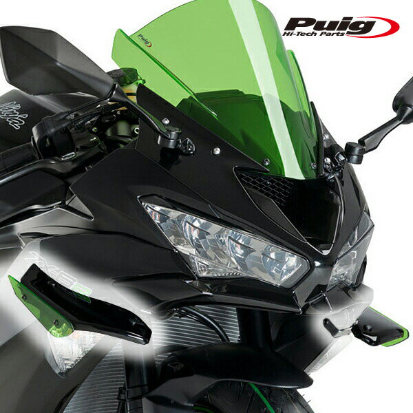 Puig 3176V SIDE SPOILER WINGLET [GREEN] Kawasaki ZX-6R 19-21 ZX-6R 636 19-21 プーチ サイドスポイラー ウイングレット ダウンフォース