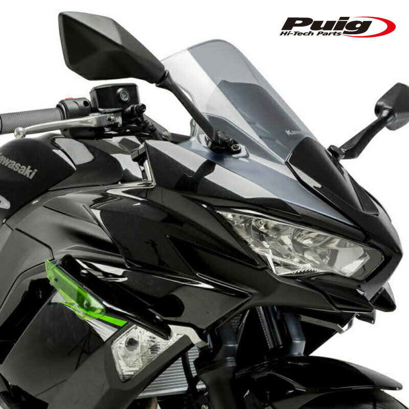 樂天商城 - Puig 3882V SIDE SPOILER WINGLET [GREEN] Kawasaki Ninja 650 (20-25) プーチ サイドスポイラー ウイングレット ダウンフォース
