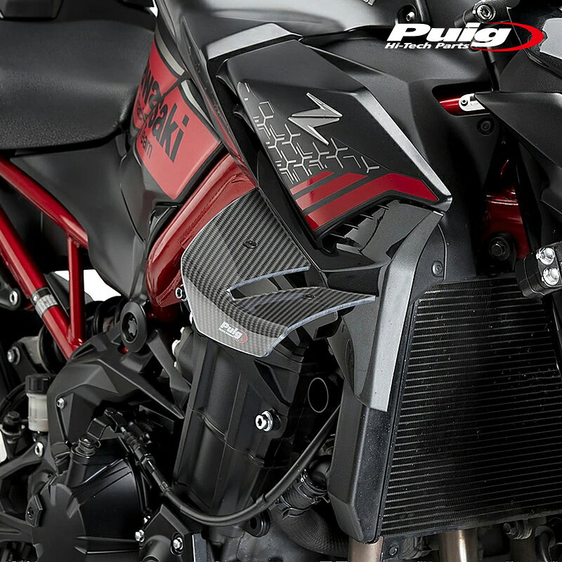 Puig 22901C SPOILERS D12 [CARBON LOOK] KAWASAKI Z900（20-24）プーチ スポイラー