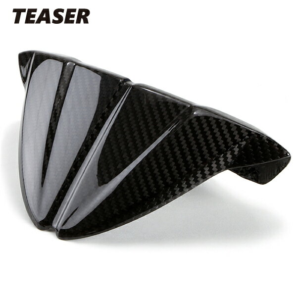 TEASER ICD01G METER BOX COVER 【DRY CARBON HG】 DUCATI　1098 1198 848 ティーザー カーボン メ―タ― ボックス カバ－