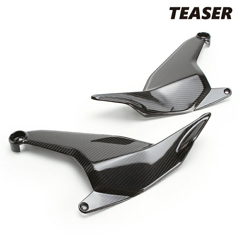 TEASER SPD06G SIDE PANELS DRY CARBON HG DUCATI DIAVEL V4 (23-) ƥ ܥ  ѥͥ