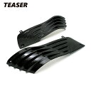 TEASER SPK01G SIDE PANEL 【DRY CARBON HG】 Kawasaki　ZZR1400 ティーザー カーボン サイド パネル