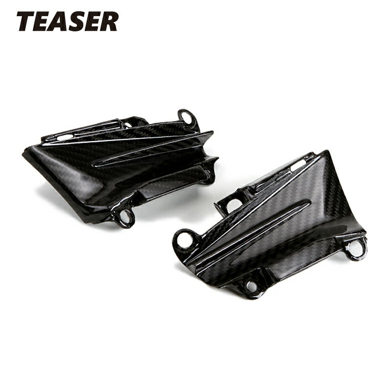 TEASER SPK02G SIDE PANEL 【DRY CARBON HG】 Kawasaki Z1000 （14-） ティーザー カーボン サイド パネル