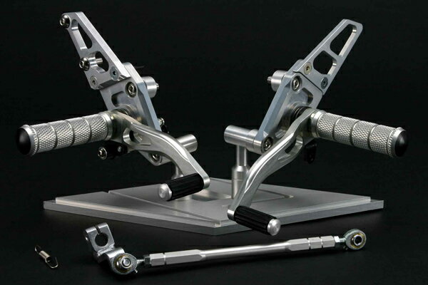 TEASER【A4B1S】（ティーザー）ステップ SILVER／T－1 ZRX1200R／1200S／DAEG　ZRX1100／1100　2《全年式》