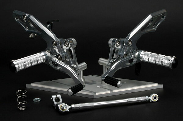 TEASER【A4L1S】（ティーザー）ステップ SILVER Ninja　250R