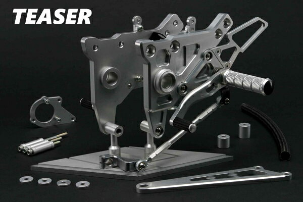 TEASER【X4E1S】 (ティーザー)XX ステップ SILVER GPZ900R　GPZ750R　（NINJA）　ベアリング仕様