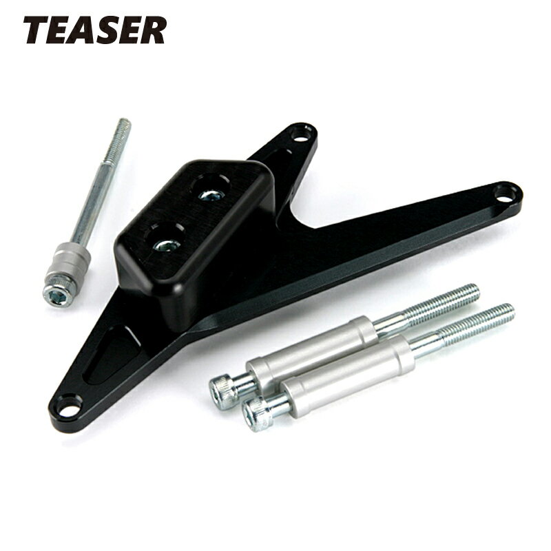 TEASER【E3K1KL】(ティーザー）スライダー BLACK/L GOOSE　350《全年式　250は不可》