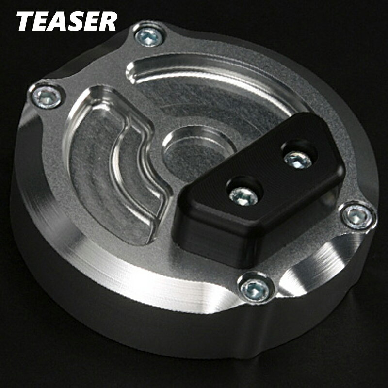 TEASER【J4C3SR】(ティーザー) R（右側）パルサーカバー SILVER/T3 ZEPHYR1100/1100RS《全年式》