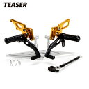 TEASER【X2A2G】 (ティーザー)XX ステップ GOLD 3ポジション XJR1300/ XJR1200/R ベアリング仕様