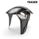 TEASER FFB06G FRONT FENDER 【DRY CARBON HG】 BMW S1000RR (18-22) ティーザー カーボン フロント フ...