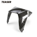 TEASER FFD09G FRONT FENDER【DRY CARBON HG】 DUCATI MONSTER821 (21-) MONSTER821 STE...
