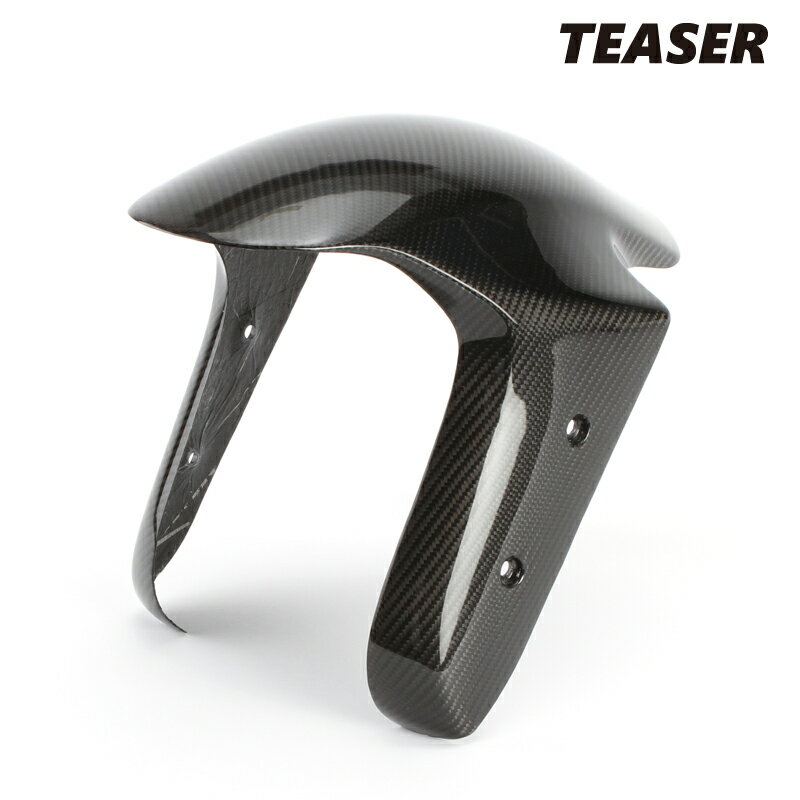 TEASER FFD12G FRONT FENDER 【DRY CARBON HG】 DUCATI PANIGALE V4/S (25-) ティーザー カーボン フロント フェンダー