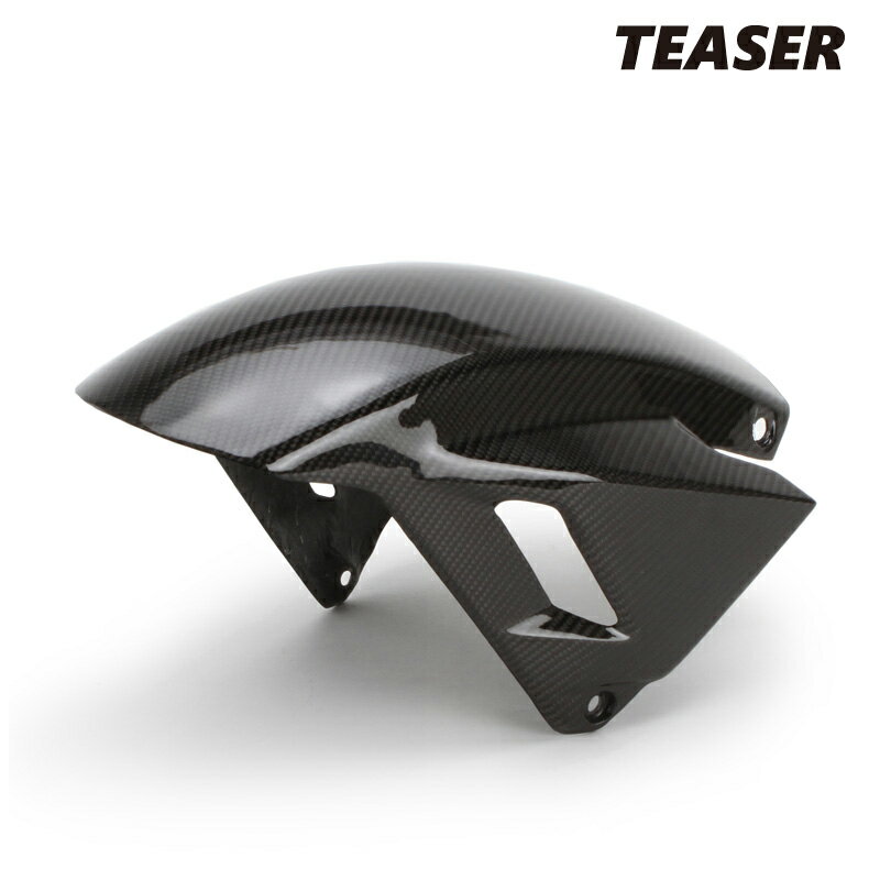 TEASER FFH08G FRONT FENDER [DRY CARBON] HONDA GOLD WING TOUR (18-23) ティーザー カーボン フロント フェンダー